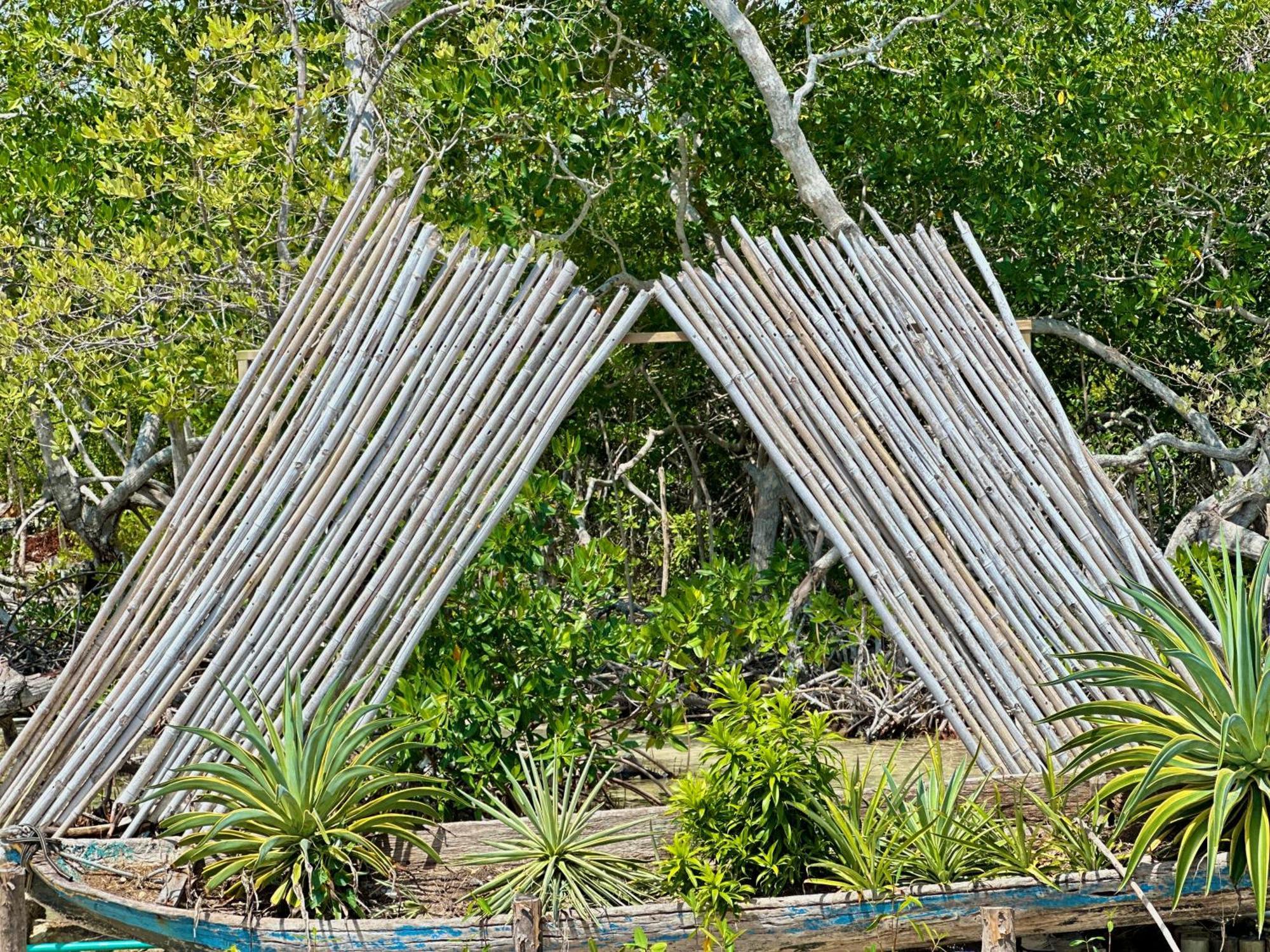 Medusa Hostel Isla Tintipan Tintipan Island Exterior photo